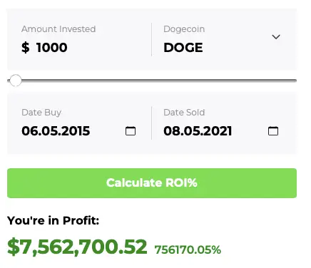 DOGE ROI calculator